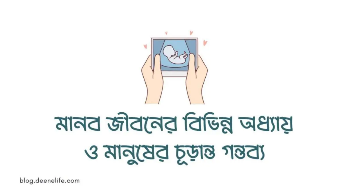 মানব জীবনের বিভিন্ন অধ্যায় ও মানুষের চূড়ান্ত গন্তব্য